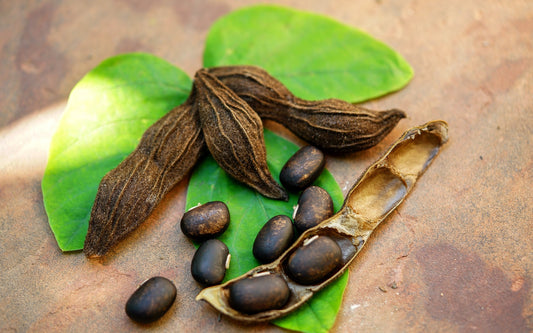 Guide to Mucuna Pruriens: Benefits & How To Use It