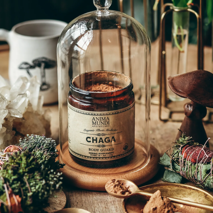 Chaga Body Guard