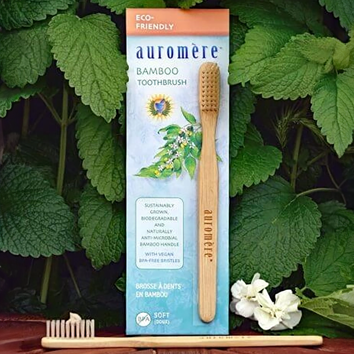 Bamboo Toothbrush