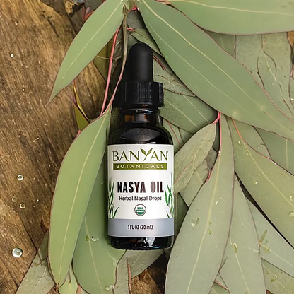 Nasya Oil