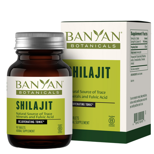 Shilajit Tablets