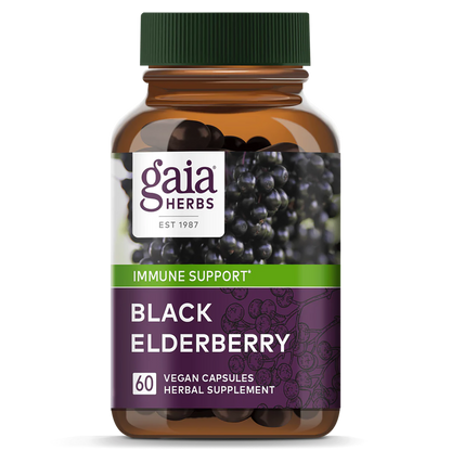 Black Elderberry