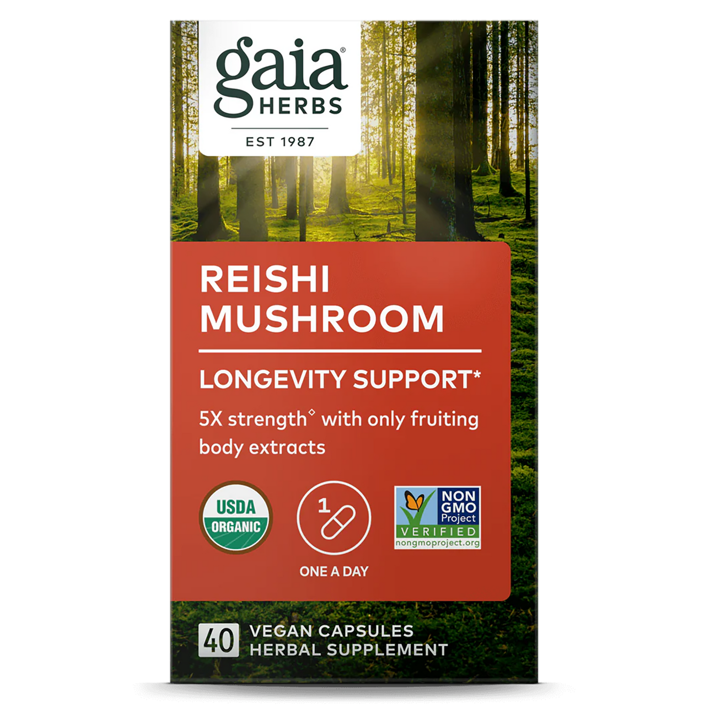 Reishi Mushroom