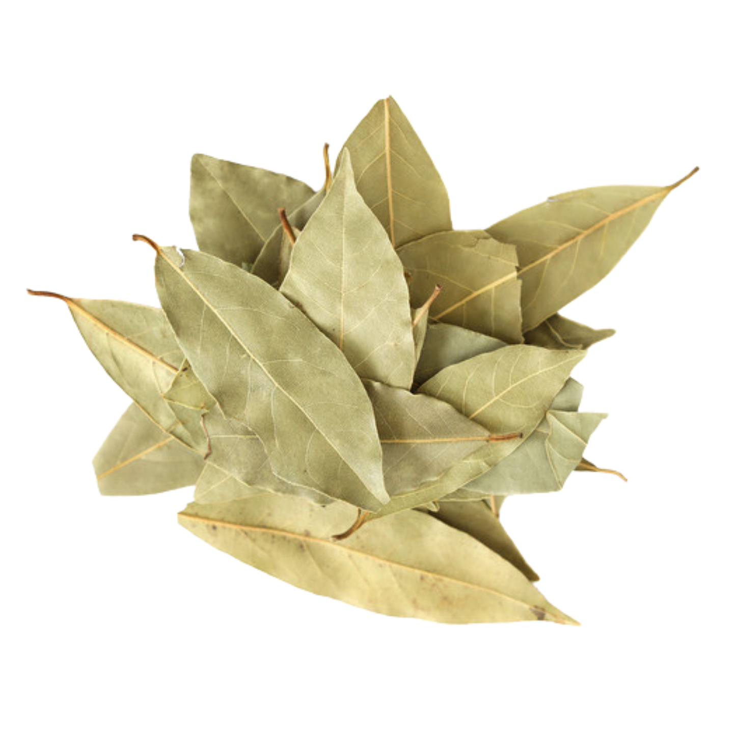 Bay Leaf Whole