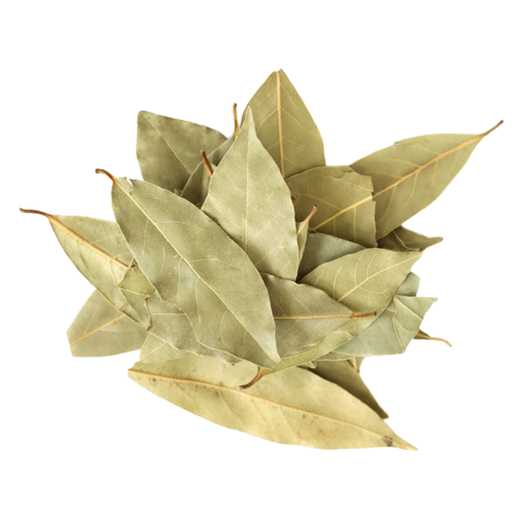 Bay Leaf Whole