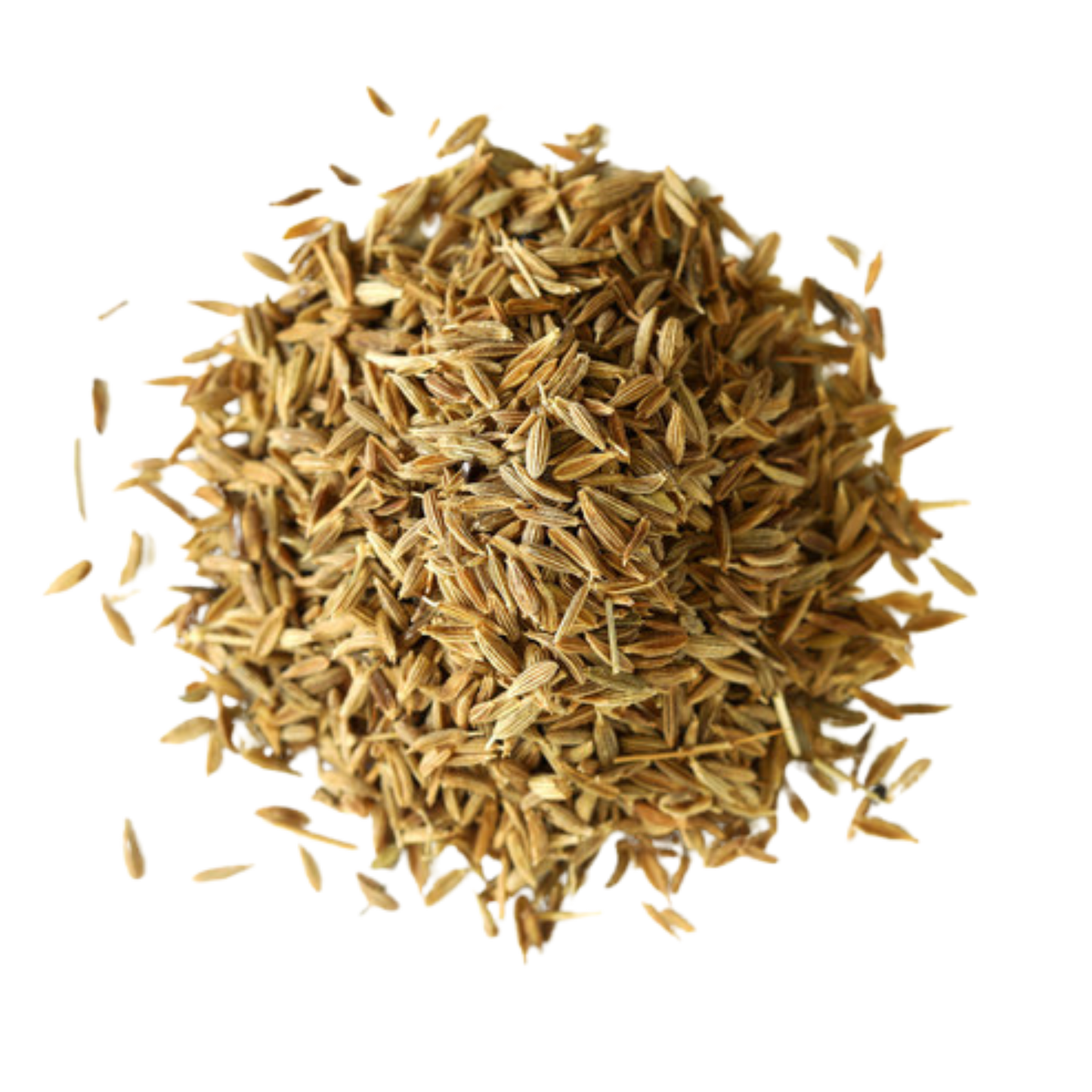 Cumin Seed Whole