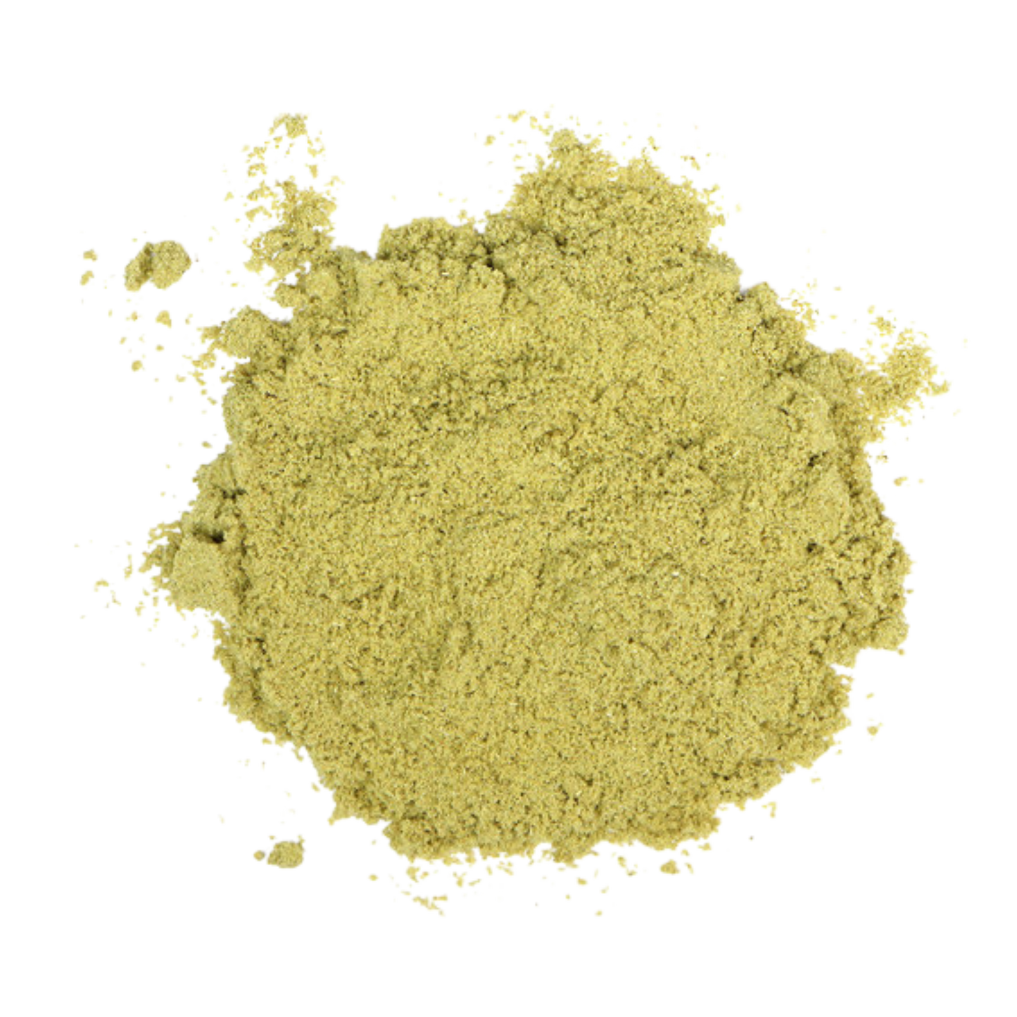 Fennel Powder