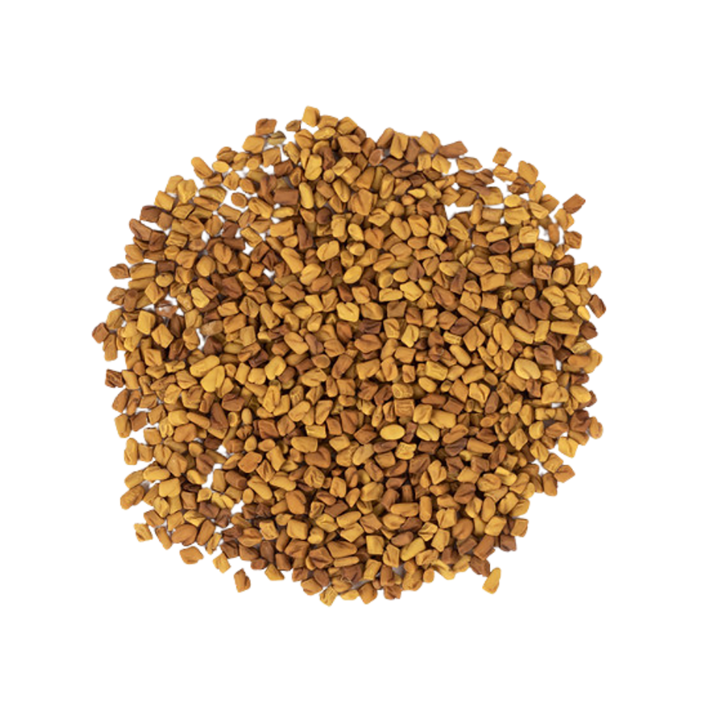 Fenugreek Seeds