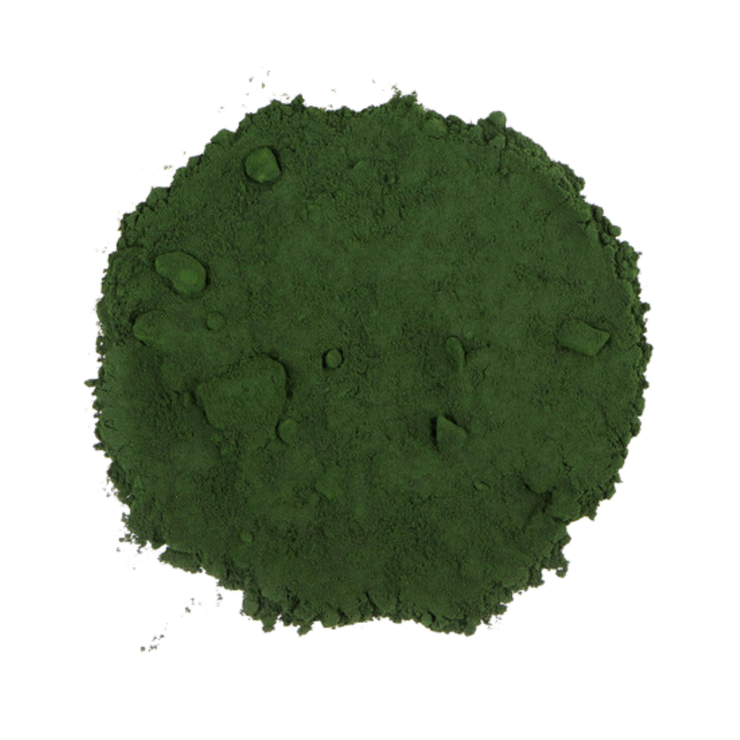 Chlorella Powder