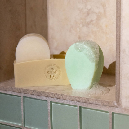 Shampoo & Conditioner Bar Holder