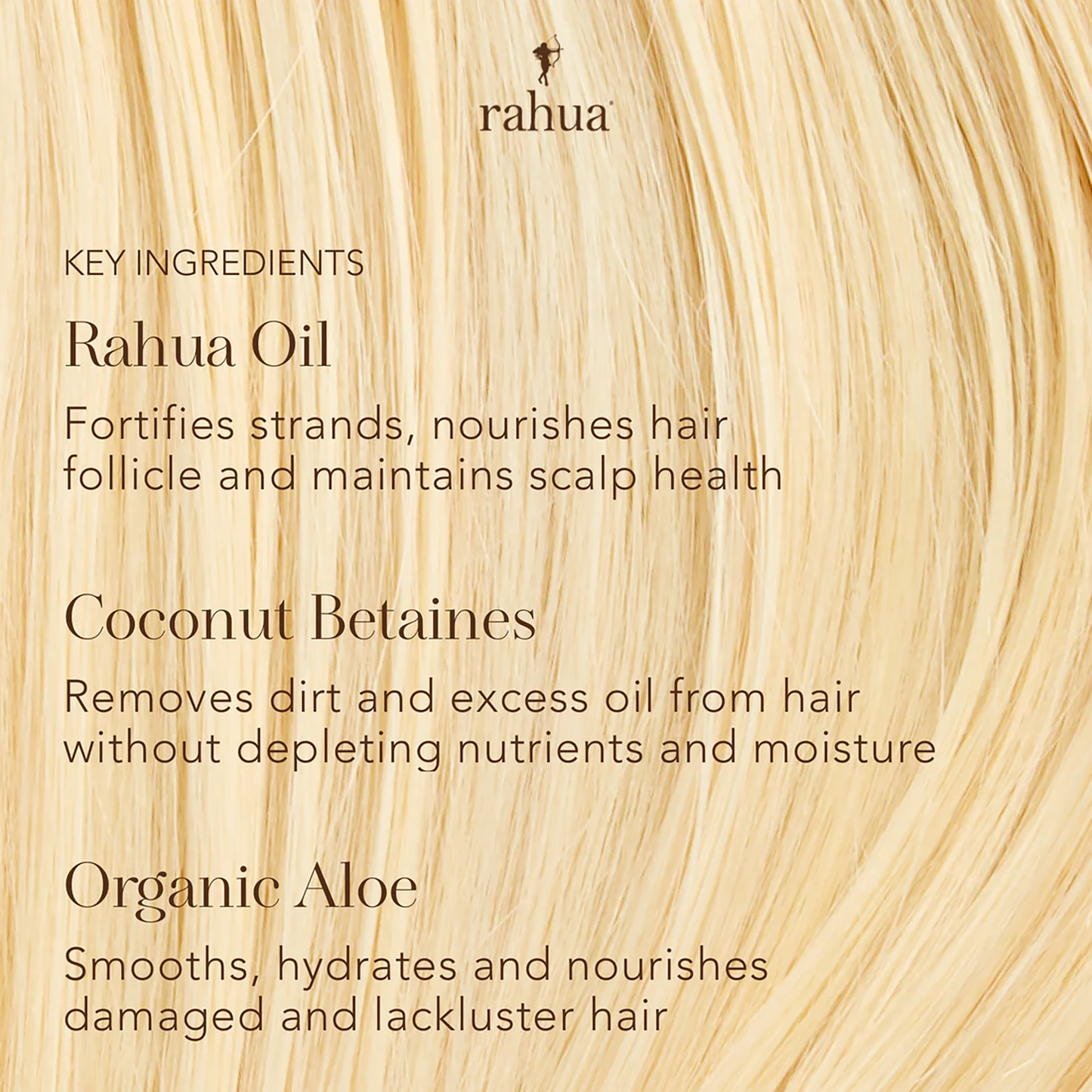 Rahua Classic Conditioner