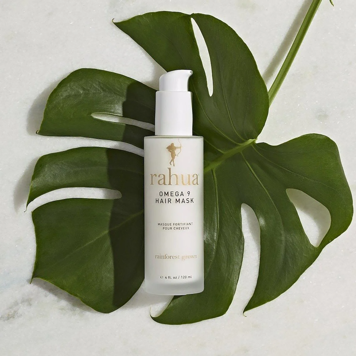 Rahua Omega 9 Hair Mask