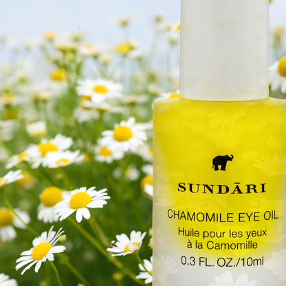 Chamomile Eye Oil