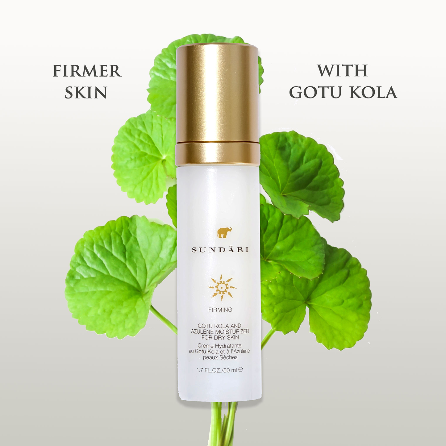 Gotu Kola and Azulene Moisturizer