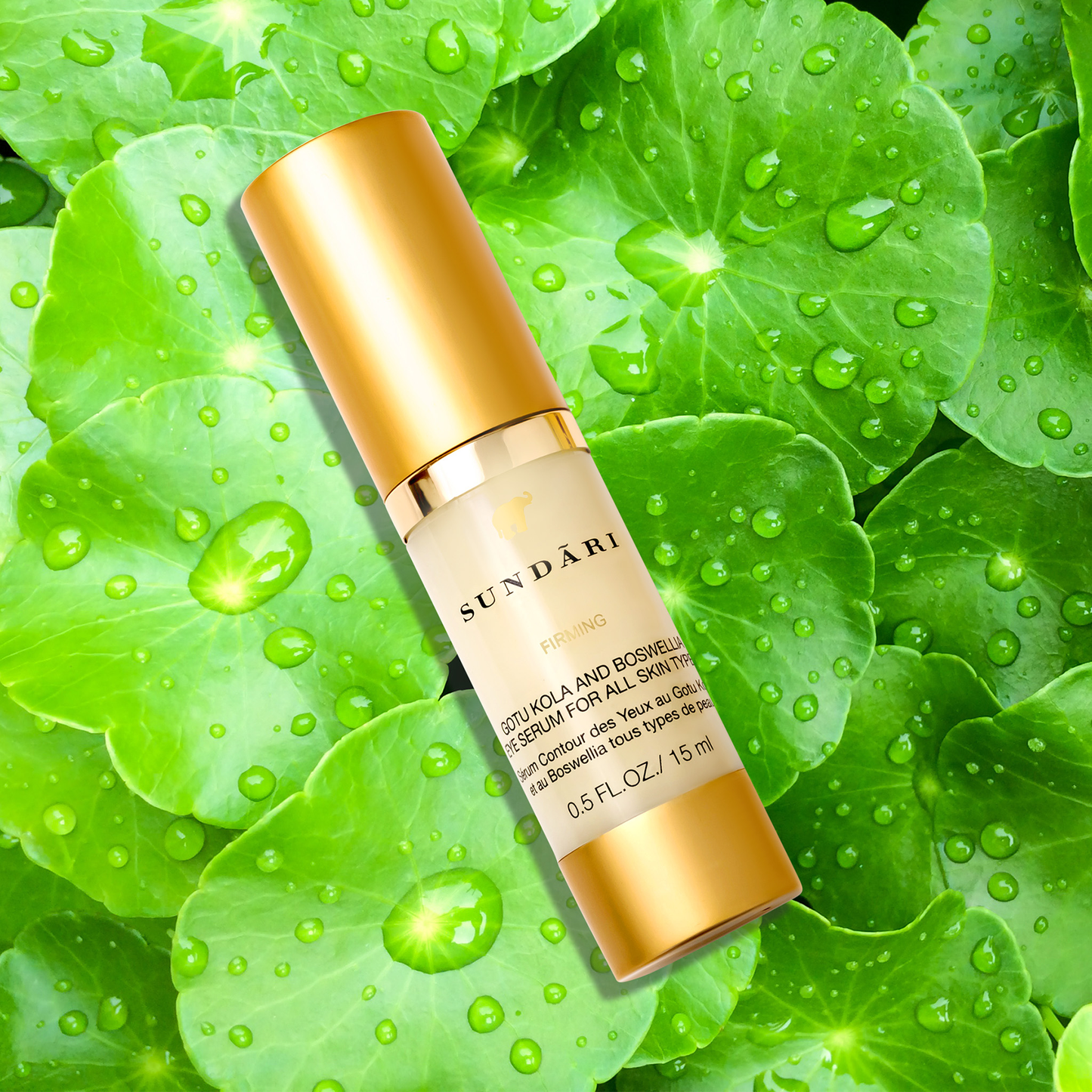 Gotu Kola and Boswellia Eye Serum