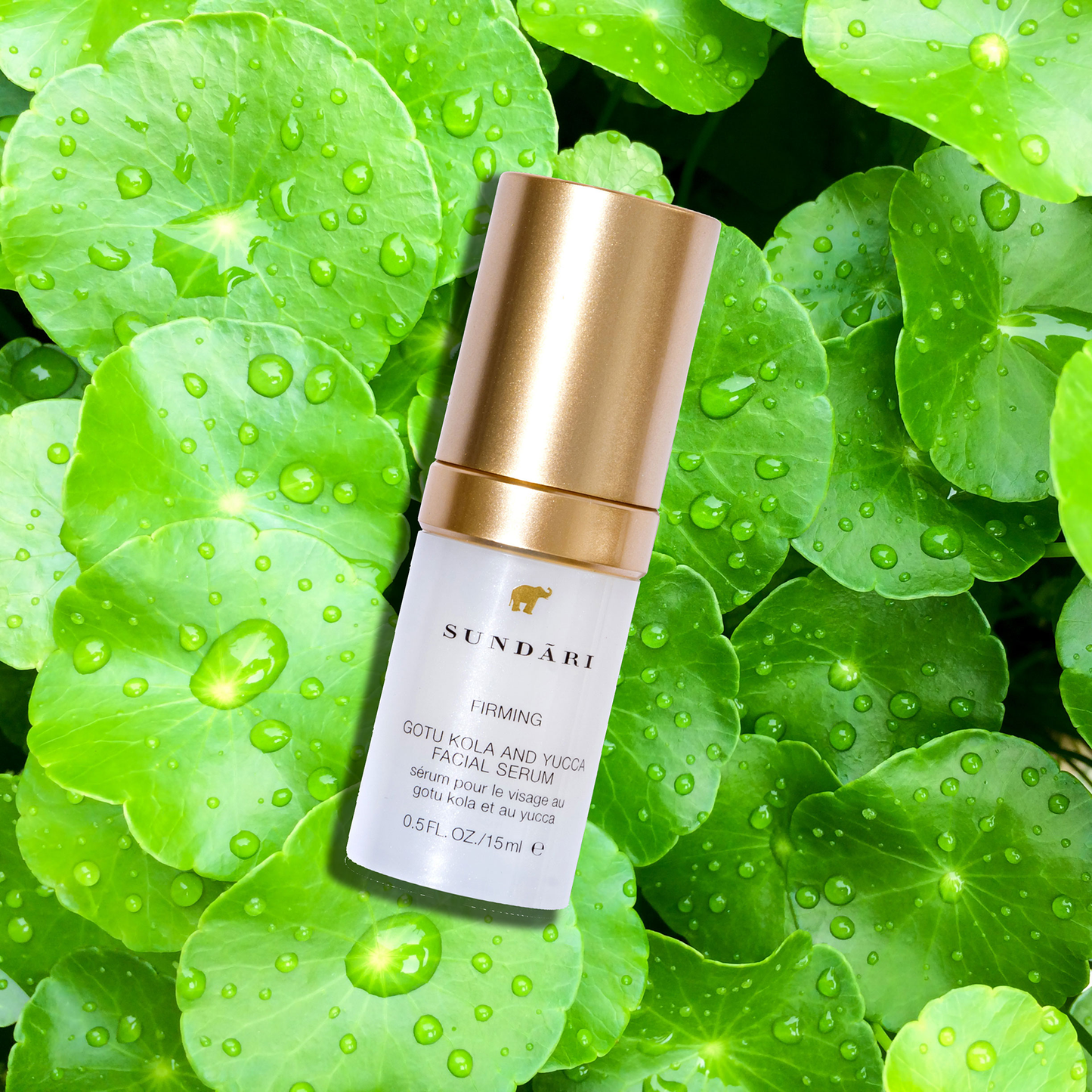 Gotu Kola and Yucca Facial Serum