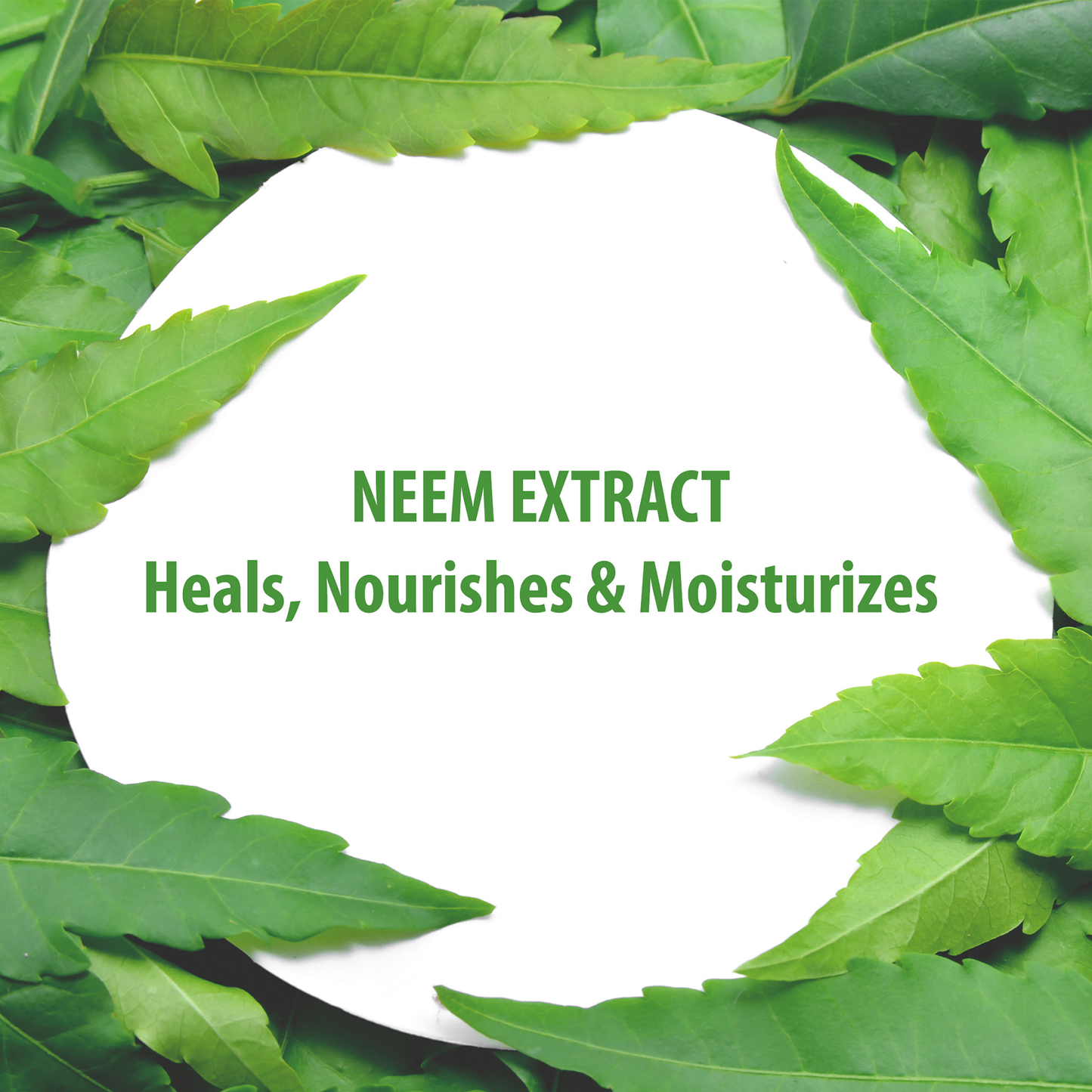 Neem and Burdock Balancing Cleanser