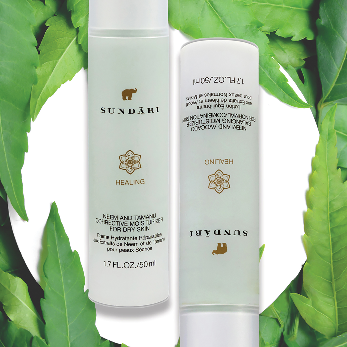 Neem and Tamanu Corrective Moisturizer