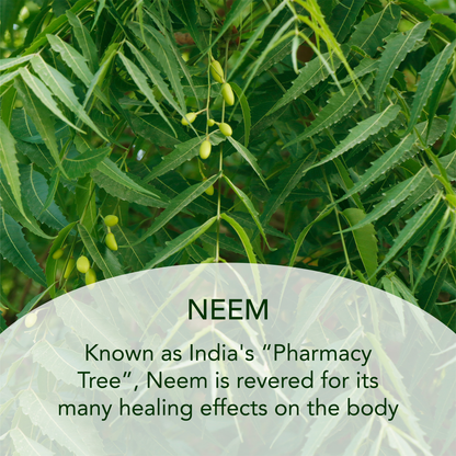 Neem and Triphala Body Oil