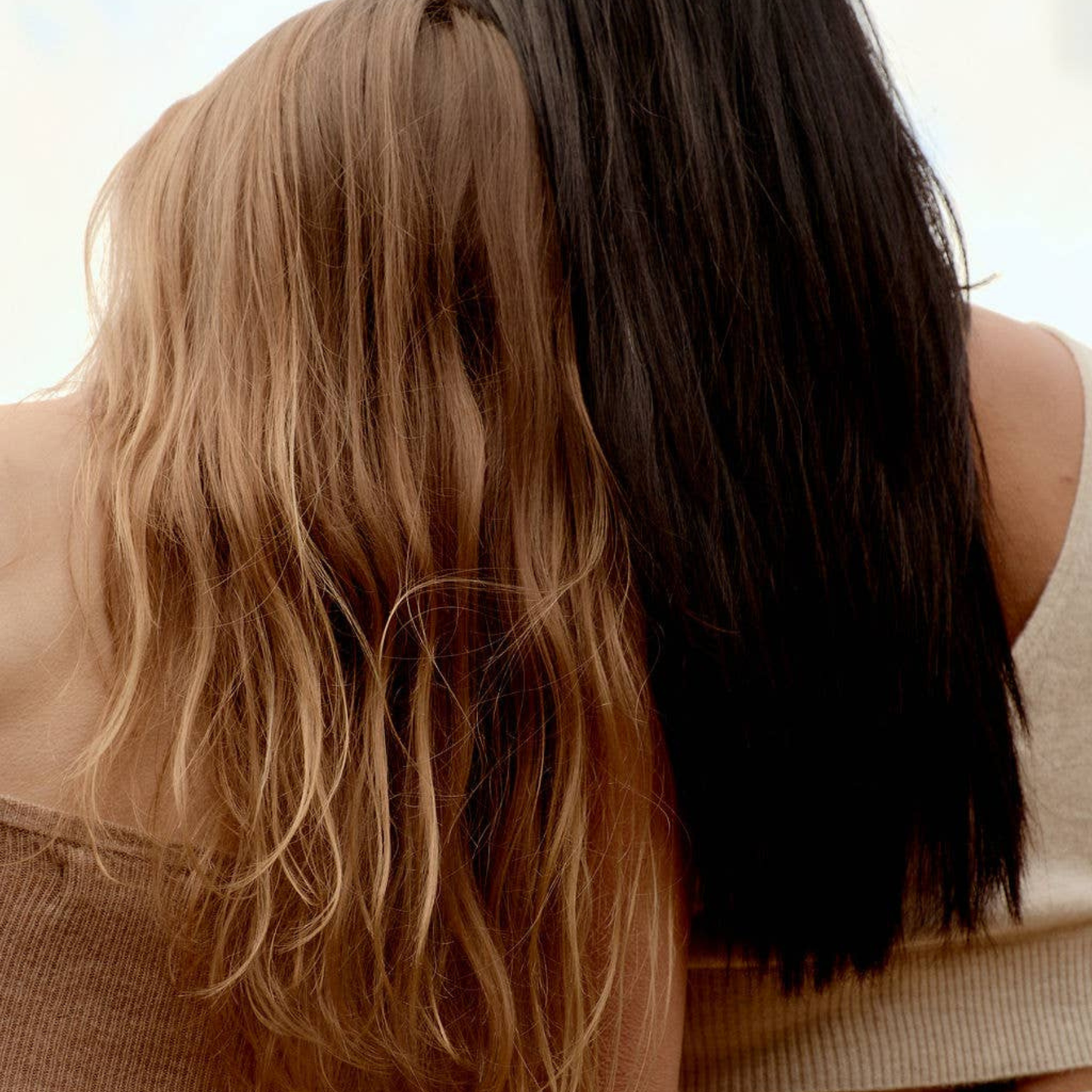 Fortify Conditioner Bar