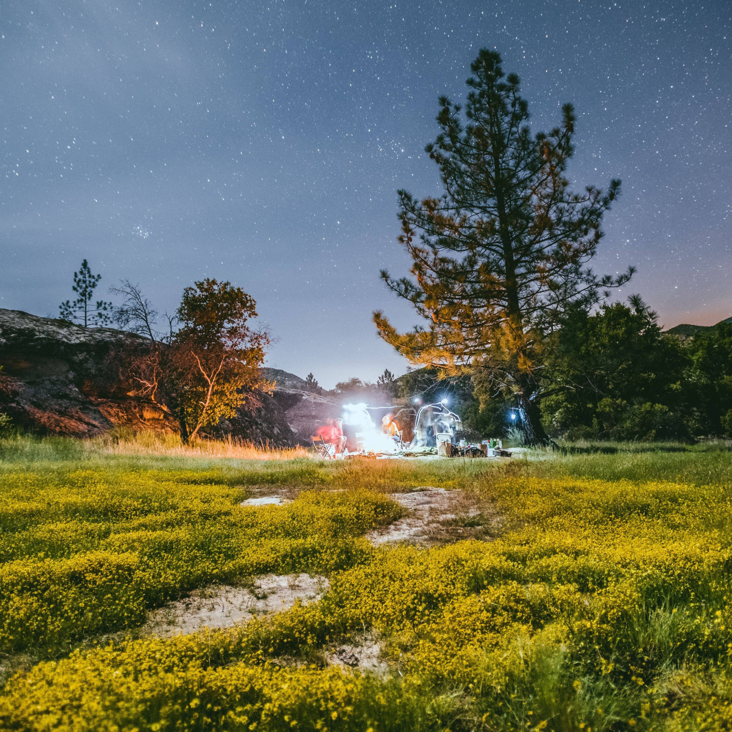 NATURAL BAMBOO ESSENTIAL OIL DIFFUSER